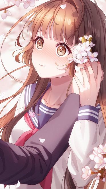 动漫樱花手机壁纸