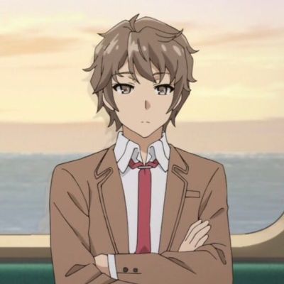 最佳情侣头像 青春猪头少年不会梦到兔女郎学姐