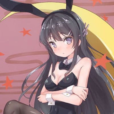 兔女郎学姐 樱岛麻衣 青春猪头少年 动漫头像