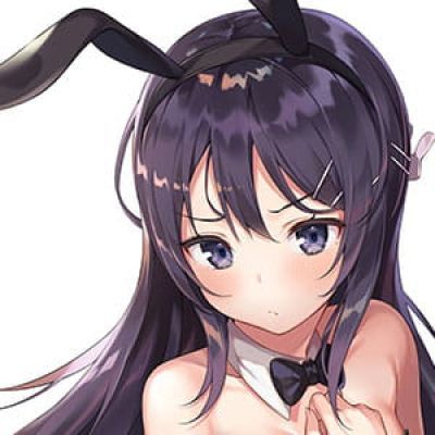 兔女郎学姐 樱岛麻衣 青春猪头少年 动漫女头