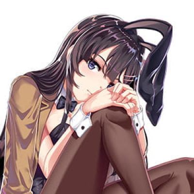 兔女郎学姐 樱岛麻衣 青春猪头少年 动漫女头