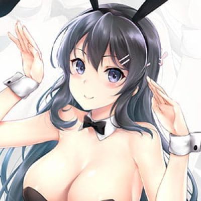 兔女郎学姐 樱岛麻衣 青春猪头少年 动漫女头