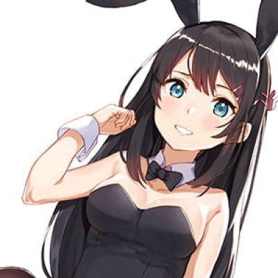 兔女郎学姐 樱岛麻衣 青春猪头少年 动漫女头