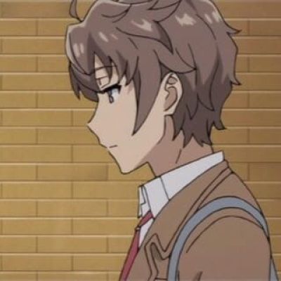 最佳情侣头像 青春猪头少年不会梦到兔女郎学姐