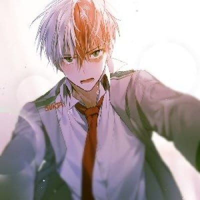 轰焦冻 我的英雄学院