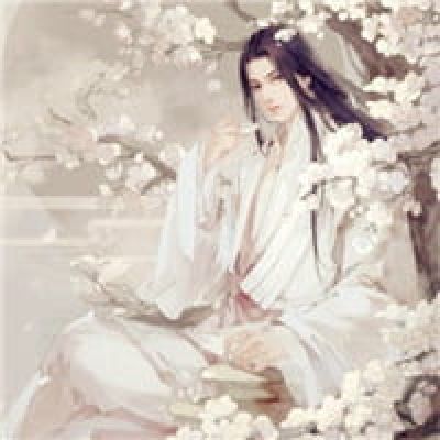 动漫头像侠客风