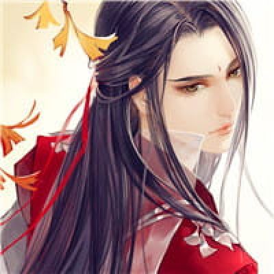 动漫头像侠客风