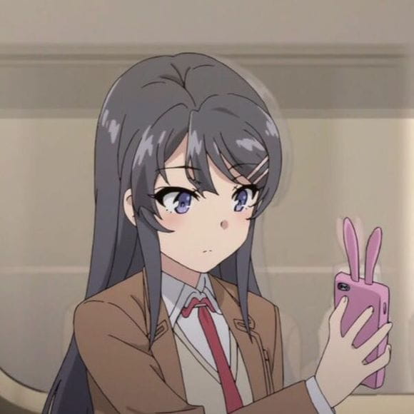 最佳情侣头像 青春猪头少年不会梦到兔女郎学姐