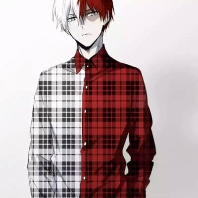 轰焦冻 我的英雄学院