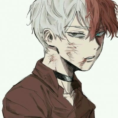 轰焦冻 我的英雄学院