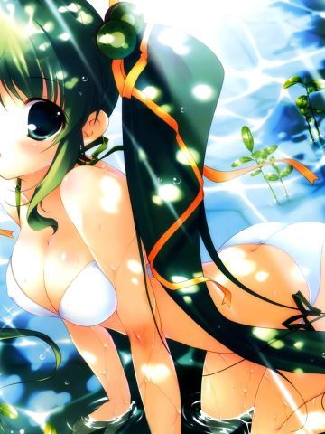 【壁纸】动漫壁纸 福利之美少女欧派篇