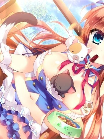 听说猫咪和少女最配哦 电脑桌面壁纸