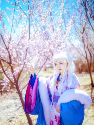 犬夜叉 凌月仙姬 cos正片