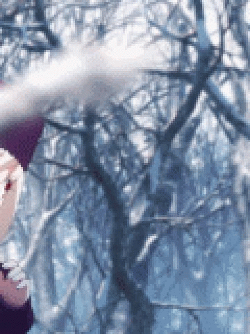 魔法少女伊莉雅 动态表情包下载