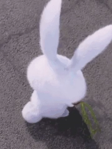 爱宠大机密 贱萌小白兔 GIF表情包