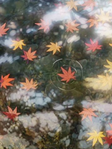 你的名字 高清电脑壁纸百度云下载