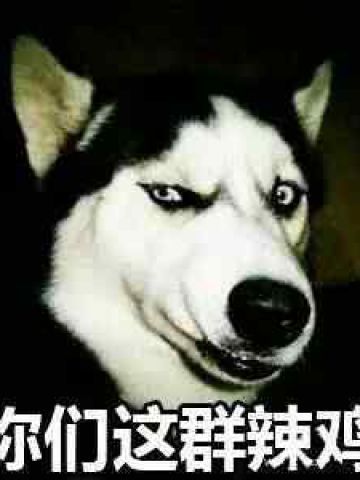 哈士奇系列趣味表情包 藐视一切的物种