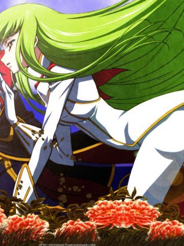 叛逆的鲁鲁修 c.c超清电脑壁纸下载