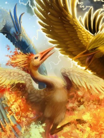 口袋妖怪 精选电脑壁纸合集