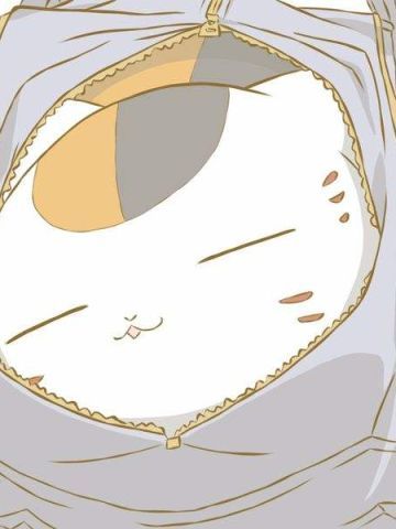 《夏目友人帐》猫咪老师萌化主题