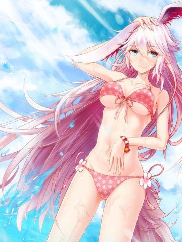 《崩环学院》八重樱萌化主题