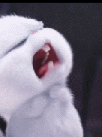 爱宠大机密 反差萌小兔子手机壁纸