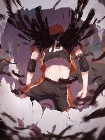 《排球少年！！》日向翔阳手机主题