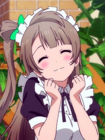 《LoveLive!》南小鸟手机主题