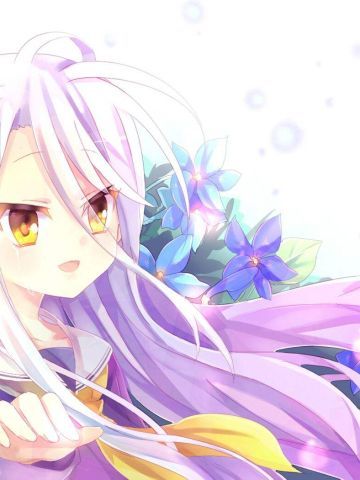 《NO GAME NO LIFE游戏人生》白手机主题