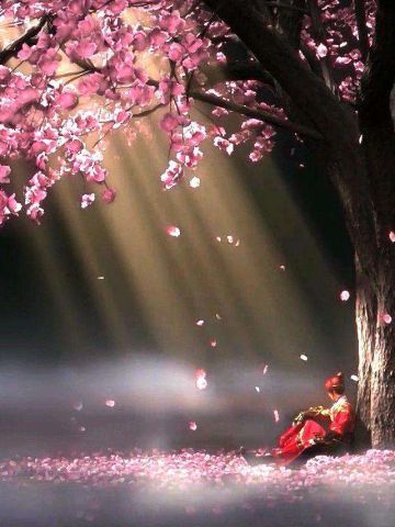 少年锦衣卫萌化手机主题