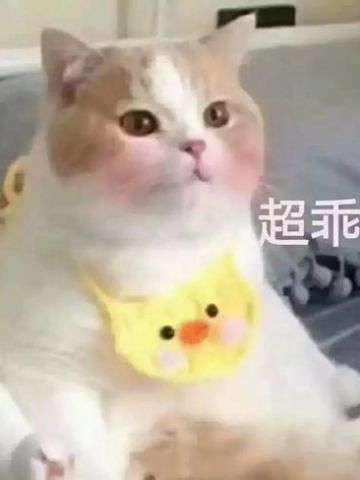 撩妹可爱呆萌猫斗图沙雕表情包