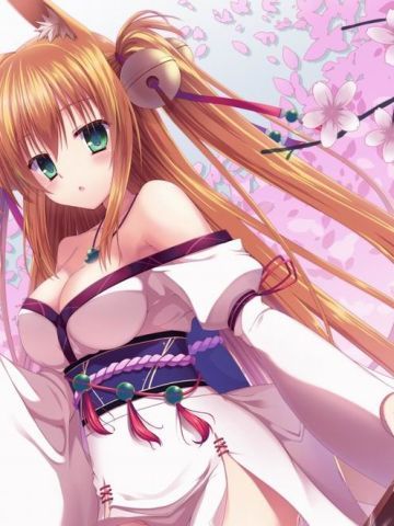 各种眼神 桌面壁纸 不同的世界