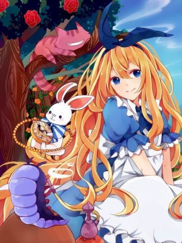 一花一世界 手机壁纸 这是只属于我的精彩