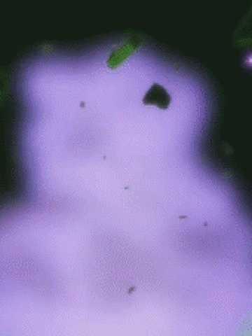 【安卓】狂化黑岩IBRS开机动画   miui和非miui系统