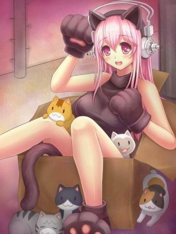 猫爪卖萌手机壁纸