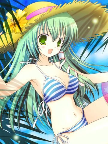 【壁纸】东方project 东风谷早苗手机壁纸分享