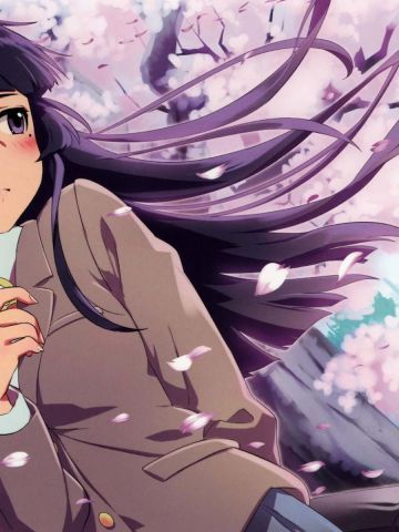 我的妹妹不可能那么可爱五更琉璃 黑猫壁纸美图