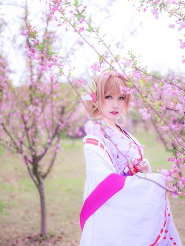 《翼·年代记》 小樱cos正片