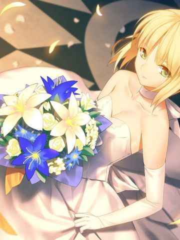 Fate/zero 吾王saber电脑壁纸