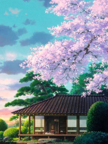 樱花如雨 樱花系列精美大图壁纸下载