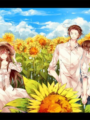 喜欢大片的向日葵花田吗 向日葵桌面壁纸集