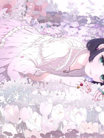 带你进入一个花繁叶茂的世界