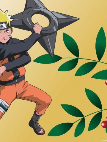 火影忍者 漩涡鸣人  高清电脑壁纸下载第三辑