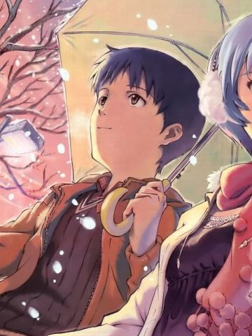 新世界福音战士 绫波丽 高清电脑壁纸下载