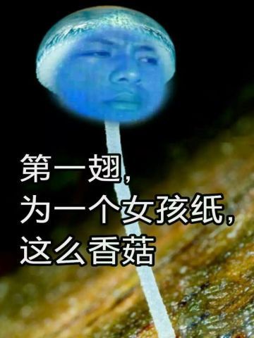 蓝瘦香菇 表情包 蓝瘦香菇在这里