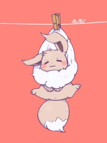 除了晒被子还能晒萌宠 伊布手机壁纸下载