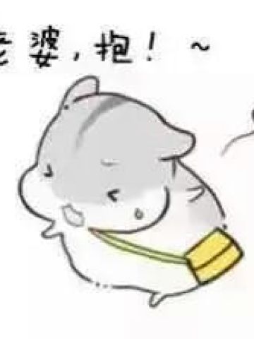 小仓鼠系列给老婆的表情包 好喜欢老婆