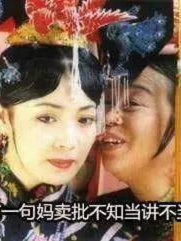 网上超火 还珠格格超欠揍骂人表情包下载