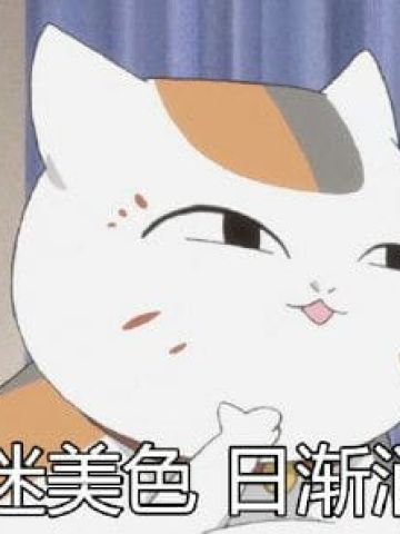 夏目友人帐 猫咪老师表情包下载