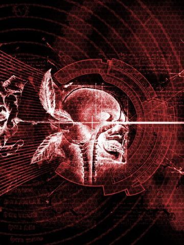 AVA战地之王壁纸